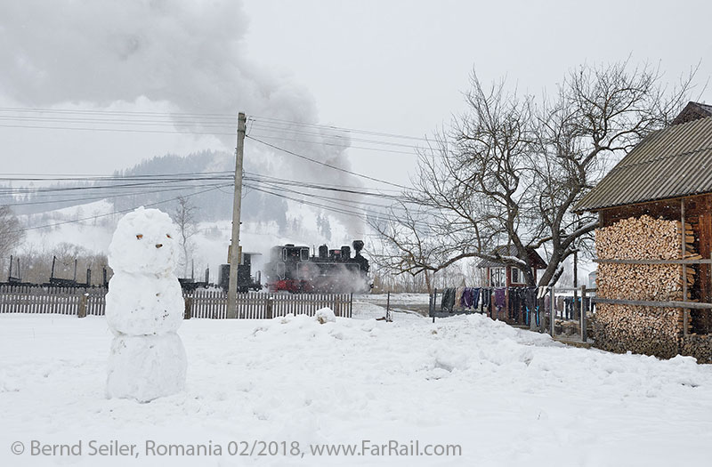 Steam in Romania: Moldovita