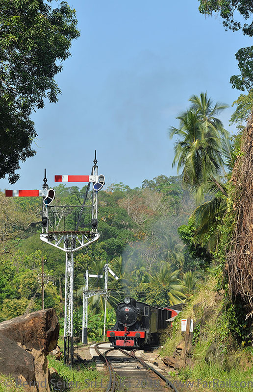 Breispur-Dampf in Sri Lanka - Foto-Charterzüge