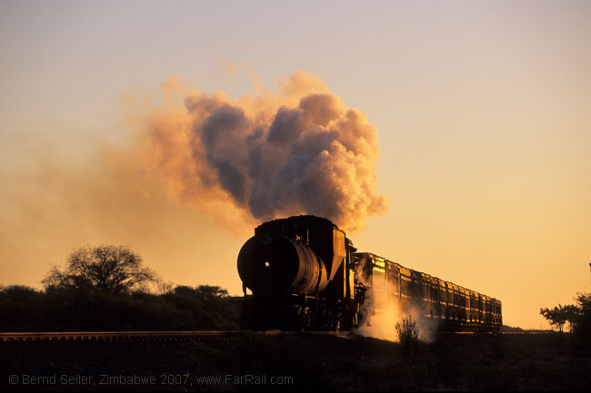 Botswana: class 19D in the early morning light