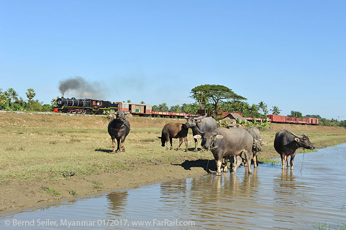 State Railway Steam in Myanmar/Burma