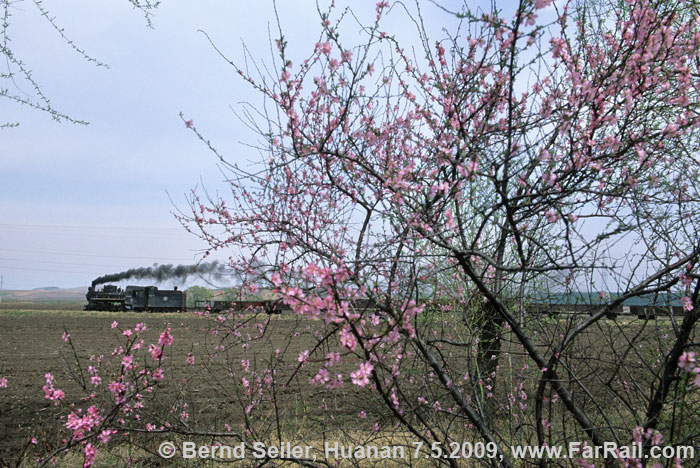 Huanan in blossom