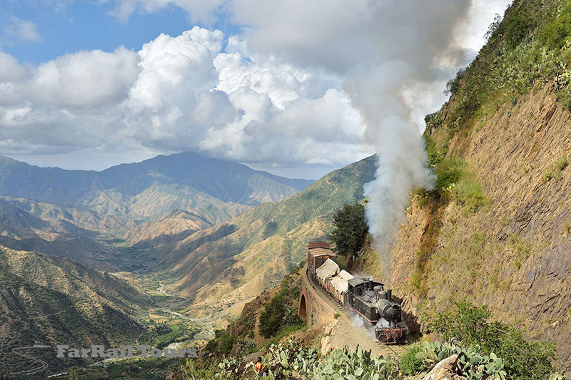 Railways in Eritrea