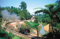 India galleries