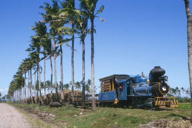 No. 7 on the way to the sugar mill, photo: Hans Hufnagel (1985)
