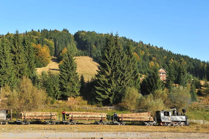 Comandau with a logging train