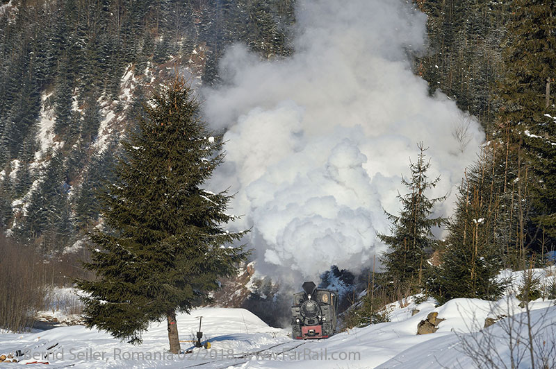 Romania narrow gauge steam